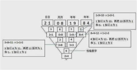 号码代表|电话号码在国际上的正确书写格式（国际惯例）.md